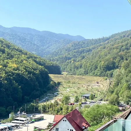 Nature View *