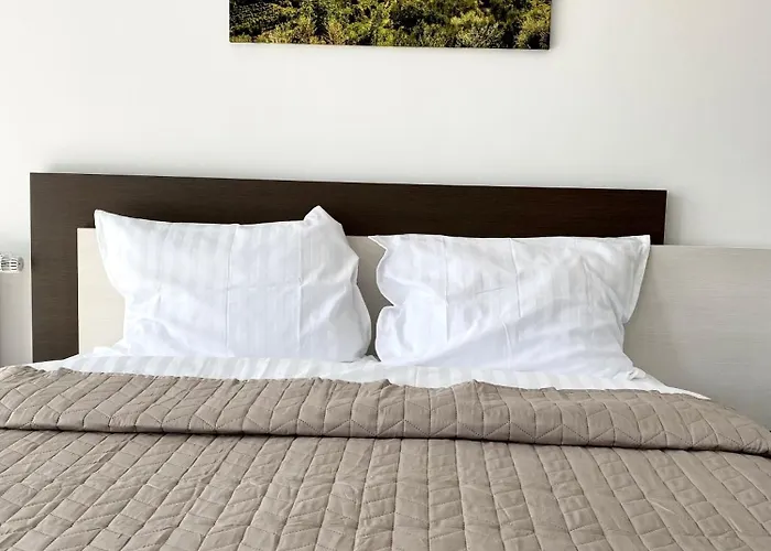 Nature View 布拉索夫