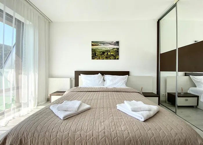 Nature View 公寓 布拉索夫