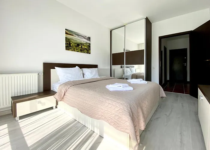 Nature View 公寓 布拉索夫